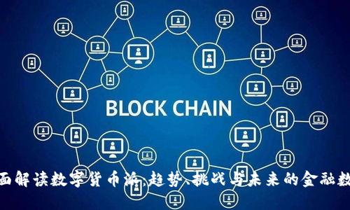 : 全面解读数字货币派：趋势、挑战与未来的金融数字化