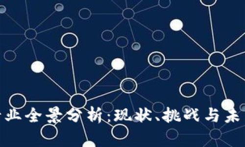 数字货币行业全景分析：现状、挑战与未来发展趋势