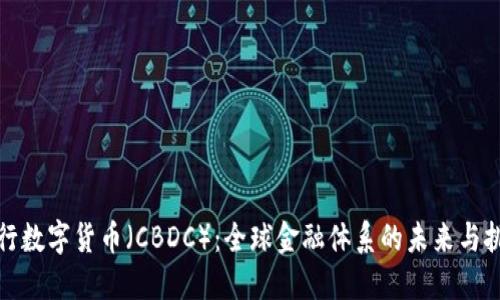央行数字货币（CBDC）：全球金融体系的未来与挑战