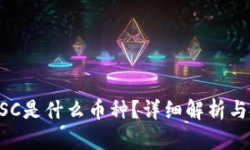 TP中的DSC是什么币种？详细解析与投资潜力